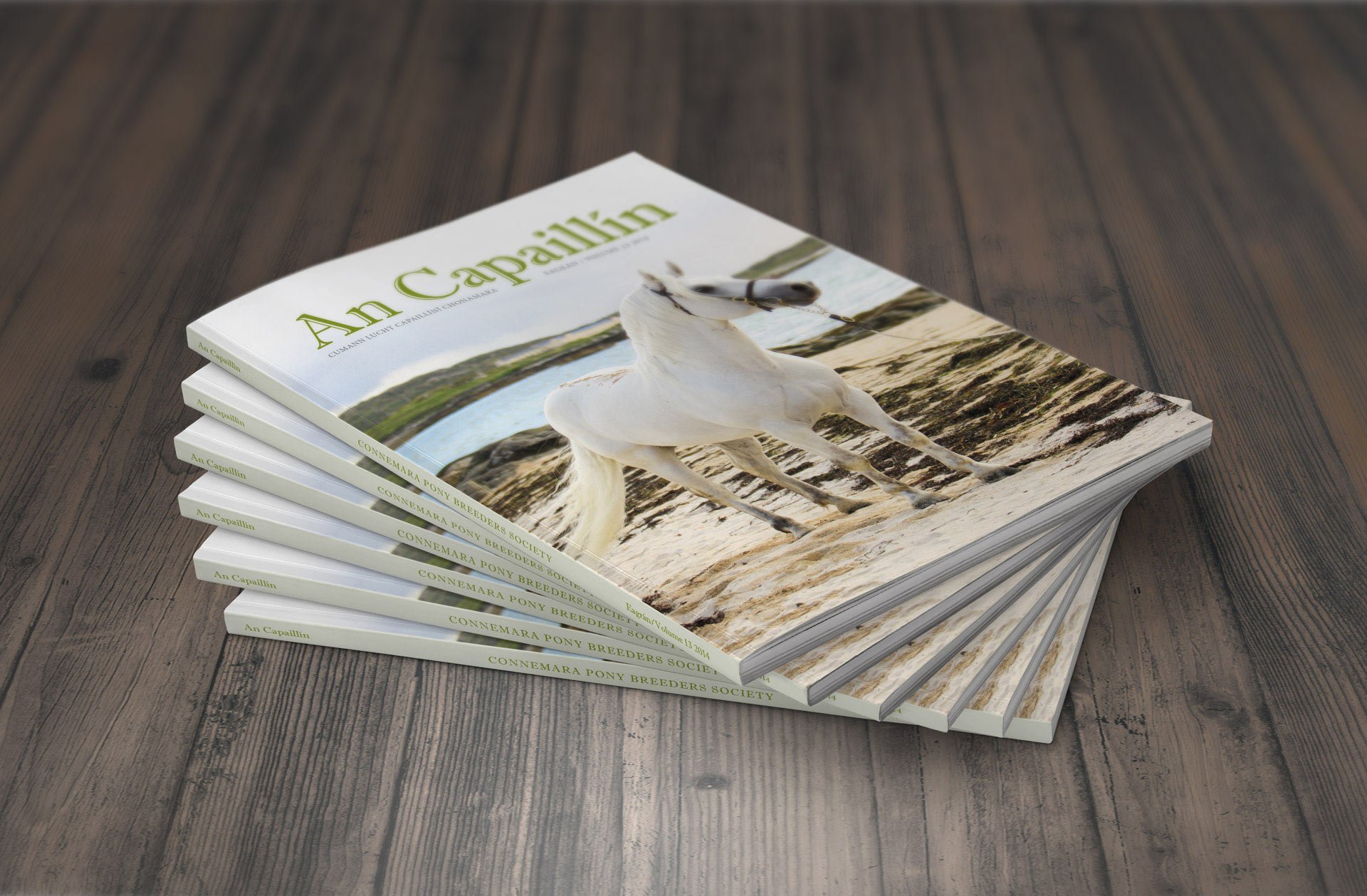 An Capaillín. - 06 Bundle