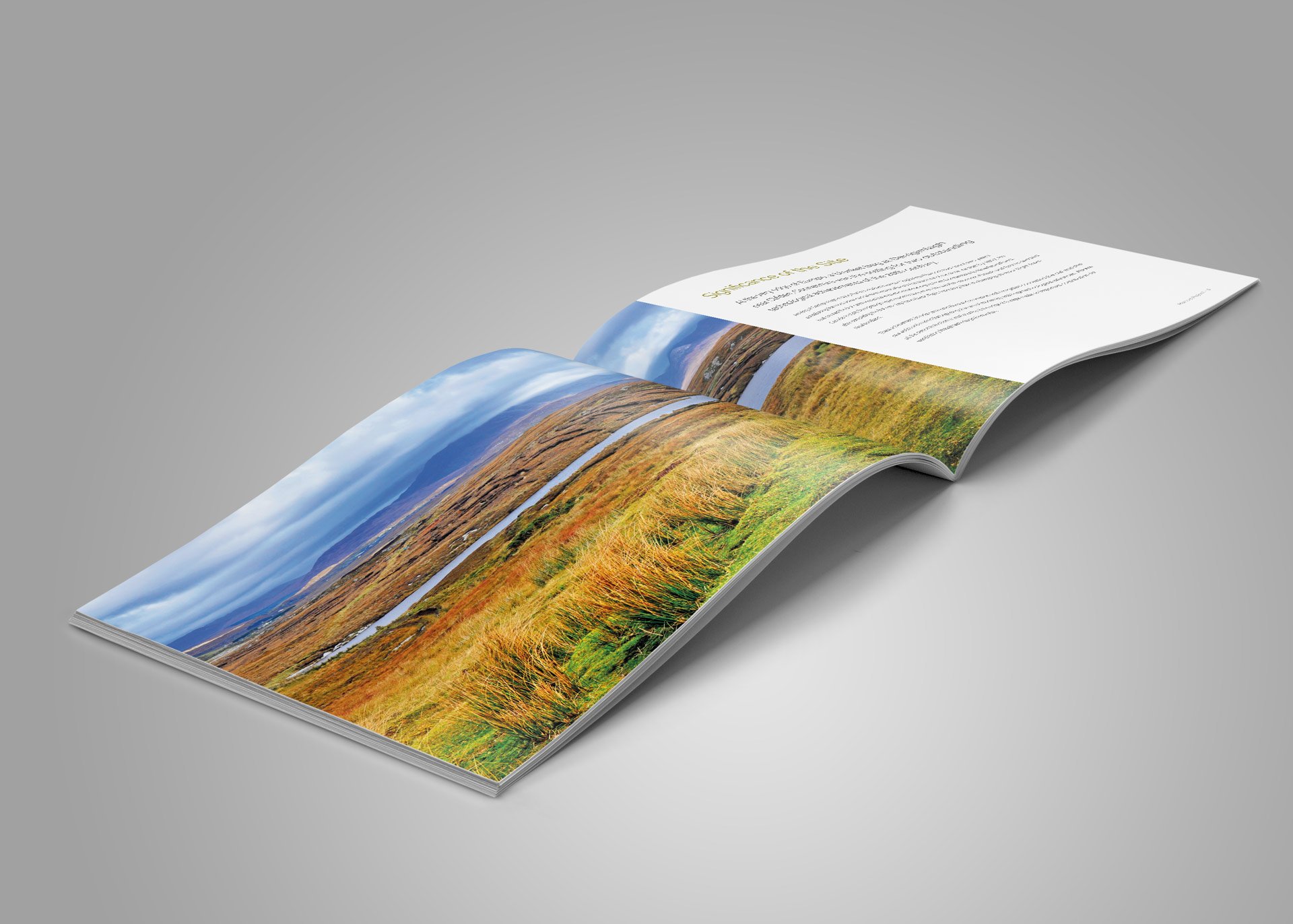 Million Euro Pitch Deck